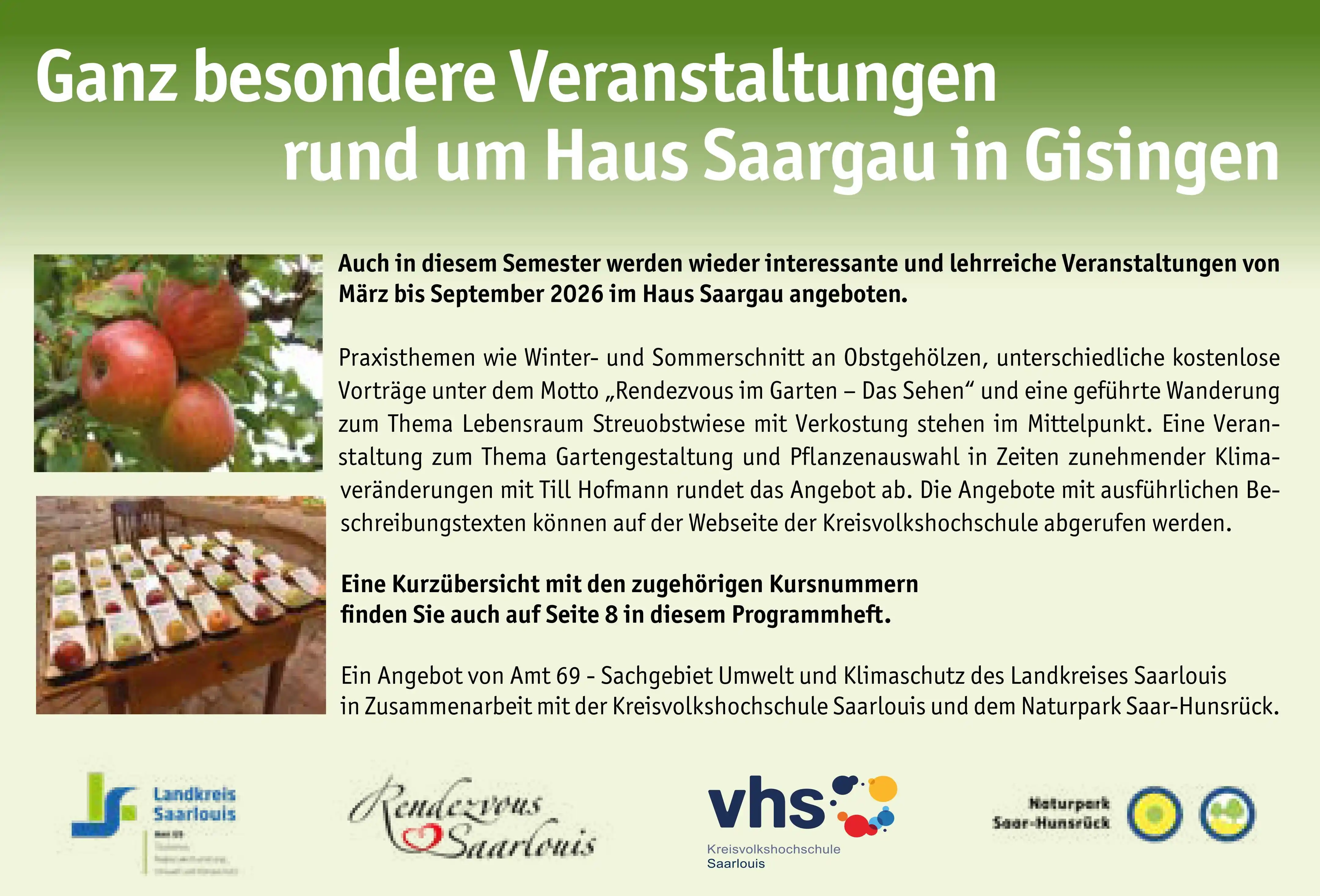 Deko- oder Profilbild, reines Grafikelement